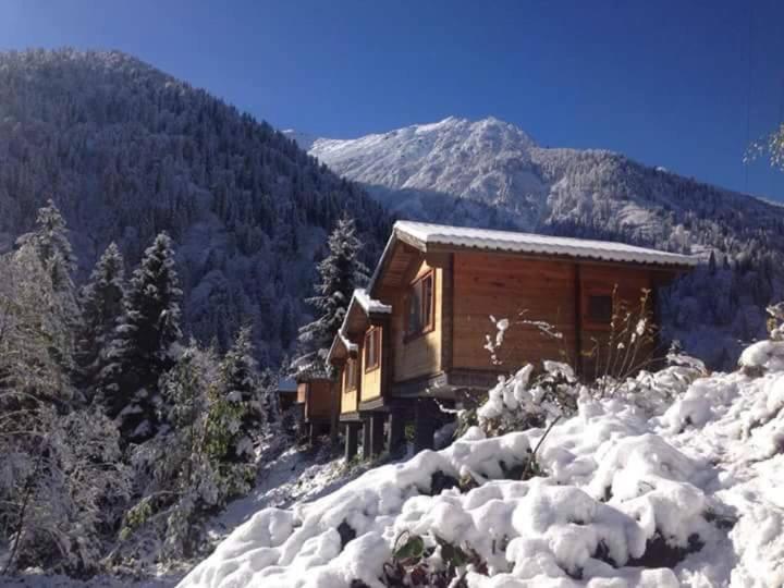 Вилла Kardelen Bungalov Evleri̇ Яйла-Айдер Экстерьер фото