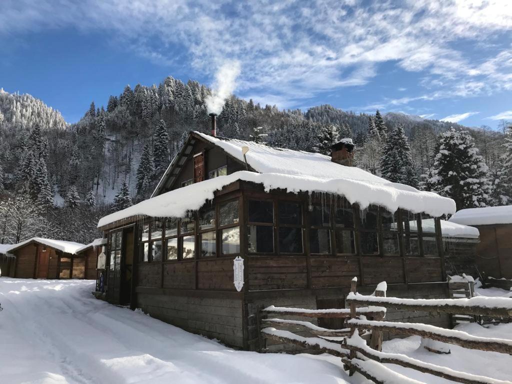 Вилла Kardelen Bungalov Evleri̇ Яйла-Айдер Экстерьер фото