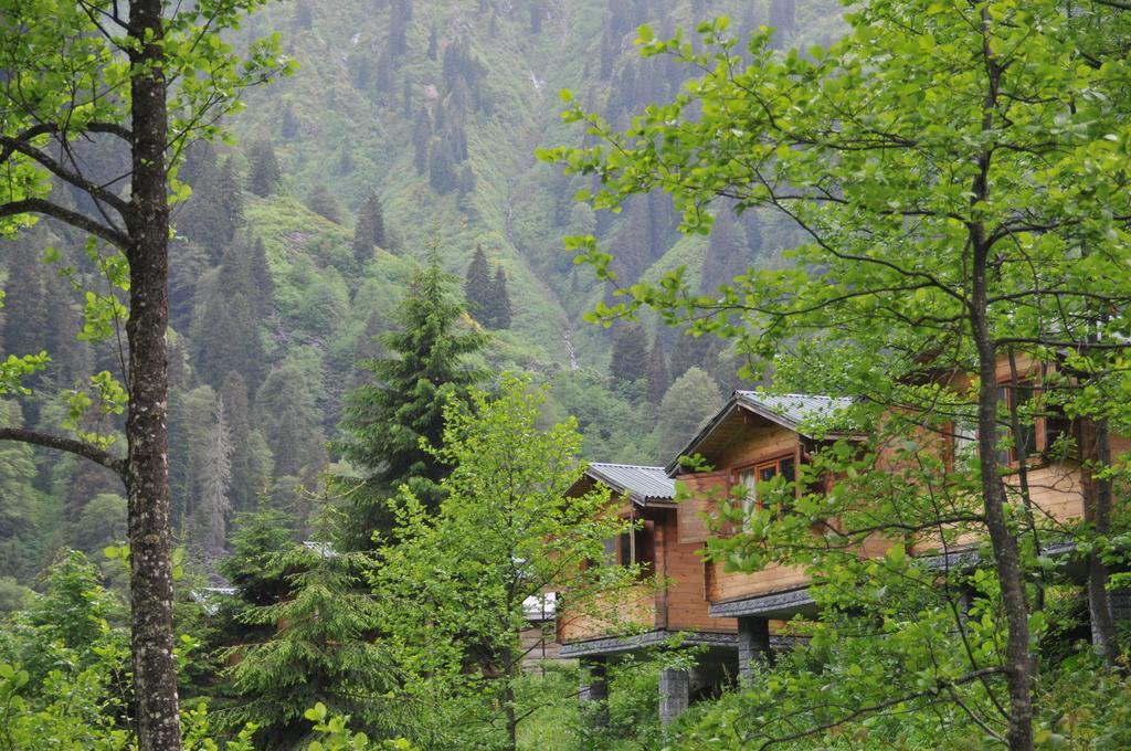 Вилла Kardelen Bungalov Evleri̇ Яйла-Айдер Номер фото